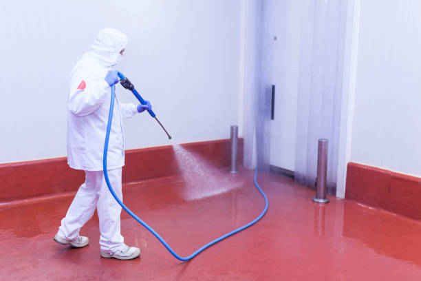 Best Playground Equipment Cleaning  in Vicksburg, MS